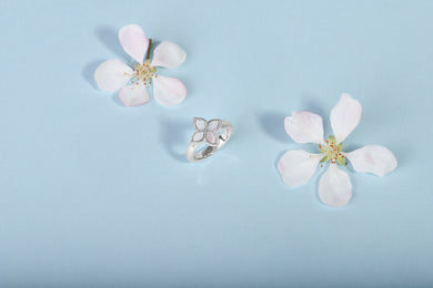 18ct White Gold White Mother of Pearl Eden Marquise Flower Ring