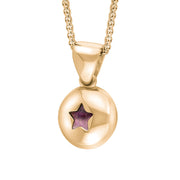 9ct Rose Gold Blue John Star Disc Necklace