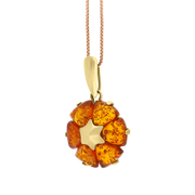 9ct Yellow Gold Amber Flower Pendant Necklace D