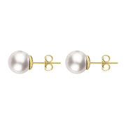 00179168 18ct Yellow Gold 6mm White Pearl Stud Earrings, E2539.