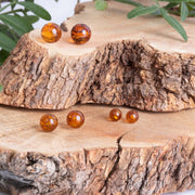 Sterling Silver Amber 6mm Round Stud Earrings Free Gift